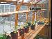 SHEDS: FITTED SHEDS and DIY SHEDS - Shelving