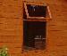 GARDEN SHEDS - Additional windows